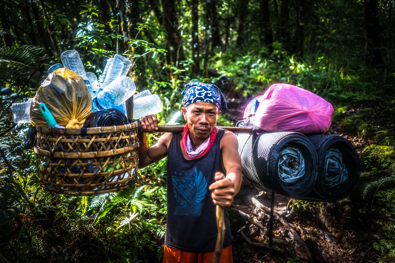 person carrying basket with plastic bottles for recycling surrounded by trees